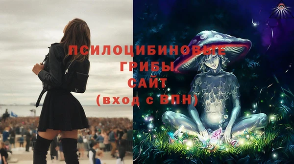 МДПВ Семикаракорск
