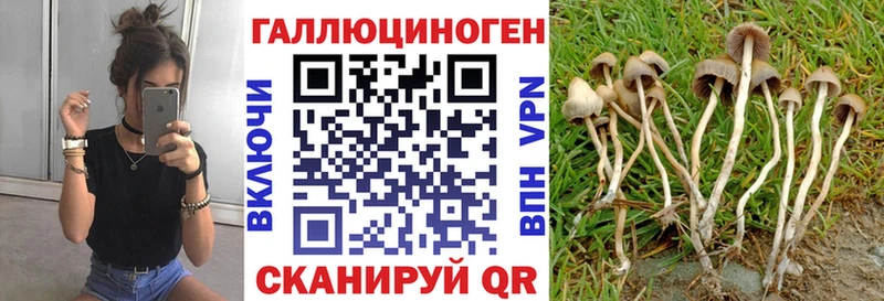 хочу наркоту Лыткарино Галлюциногенные грибы прущие грибы