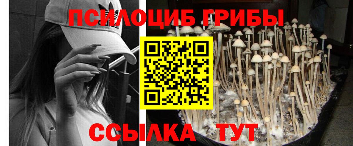 Лыткарино  Галлюциногенные грибы Cubensis  Вход с VPN  Псилоцибиновые грибы Magic Shrooms 